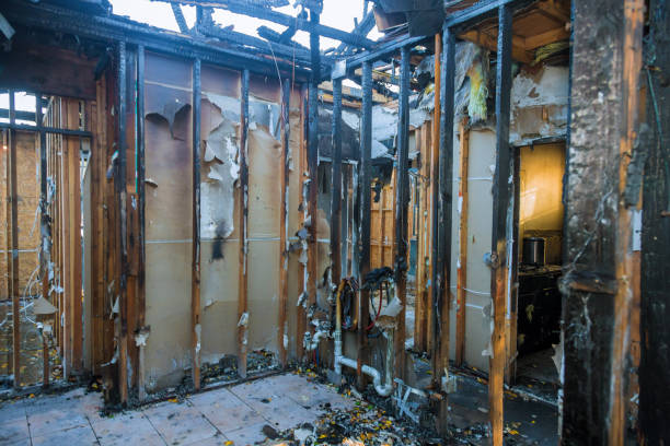 Professional Fire Damage Repair technician working in Brinklow, MD